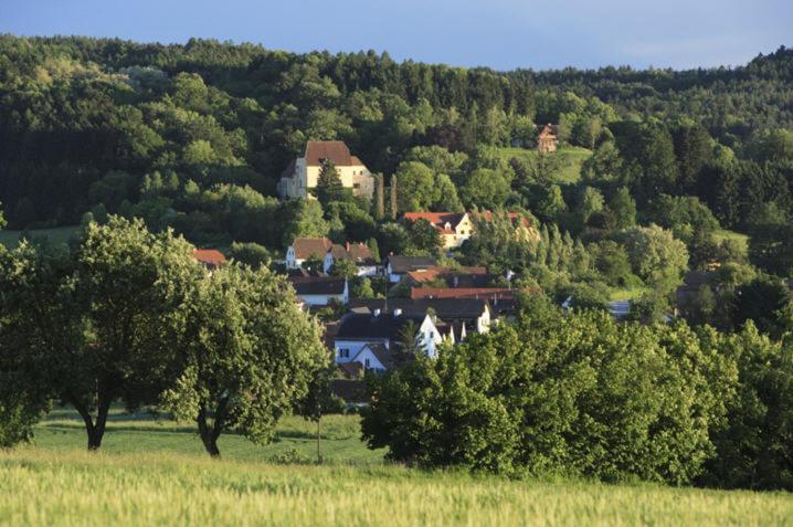 Schlosshotel Obermayerhofen Sebersdorf Kültér fotó