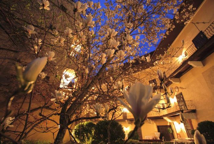 Schlosshotel Obermayerhofen Sebersdorf Kültér fotó