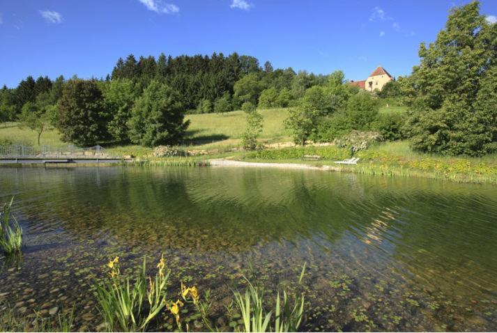 Schlosshotel Obermayerhofen Sebersdorf Kültér fotó
